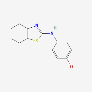 molecular formula C14H16N2OS B5574272 N-(4-methoxyphenyl)-4,5,6,7-tetrahydro-1,3-benzothiazol-2-amine 