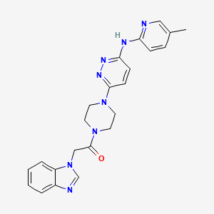 molecular formula C23H24N8O B5574395 6-[4-(1H-苯并咪唑-1-乙酰基)-1-哌嗪基]-N-(5-甲基-2-吡啶基)-3-哒嗪胺 