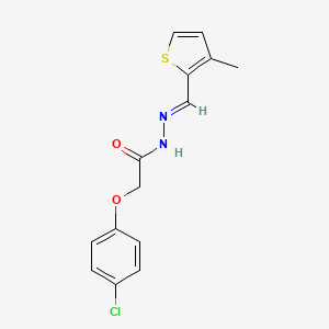 molecular formula C14H13ClN2O2S B5575901 2-(4-chlorophenoxy)-N'-[(3-methyl-2-thienyl)methylene]acetohydrazide 