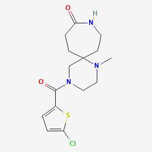 4-[(5-chloro-2-thienyl)carbonyl]-1-methyl-1,4,9-triazaspiro[5.6]dodecan-10-one