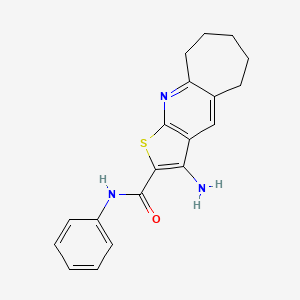 molecular formula C19H19N3OS B5577837 3-氨基-N-苯基-6,7,8,9-四氢-5H-环庚并[b]噻吩并[3,2-e]吡啶-2-甲酰胺 