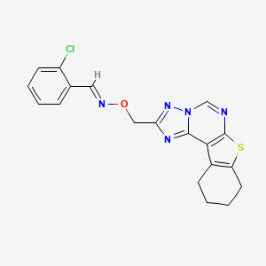molecular formula C19H16ClN5OS B5578238 2-氯苯甲醛 O-(8,9,10,11-四氢[1]苯并噻吩并[3,2-e][1,2,4]三唑并[1,5-c]嘧啶-2-基甲基)肟 