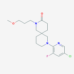 molecular formula C18H25ClFN3O2 B5578577 8-(5-氯-3-氟-2-吡啶基)-2-(3-甲氧基丙基)-2,8-二氮杂螺[5.5]十一烷-3-酮 