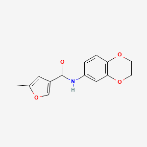 molecular formula C14H13NO4 B5579200 N-(2,3-二氢-1,4-苯并二氧杂环-6-基)-5-甲基-3-呋喃酰胺 