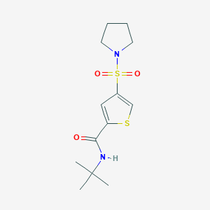 molecular formula C13H20N2O3S2 B5580682 N-(tert-butyl)-4-(1-pyrrolidinylsulfonyl)-2-thiophenecarboxamide 