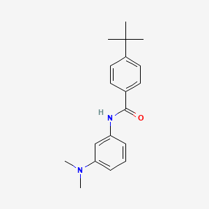 4-tert-butyl-N-[3-(dimethylamino)phenyl]benzamide