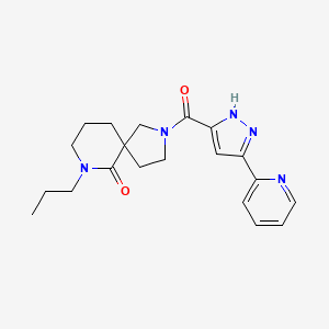 7-propyl-2-[(3-pyridin-2-yl-1H-pyrazol-5-yl)carbonyl]-2,7-diazaspiro[4.5]decan-6-one