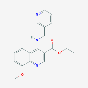 molecular formula C19H19N3O3 B5583987 ethyl 8-methoxy-4-[(3-pyridinylmethyl)amino]-3-quinolinecarboxylate 