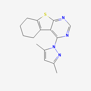 molecular formula C15H16N4S B5584341 4-(3,5-dimethyl-1H-pyrazol-1-yl)-5,6,7,8-tetrahydro[1]benzothieno[2,3-d]pyrimidine 
