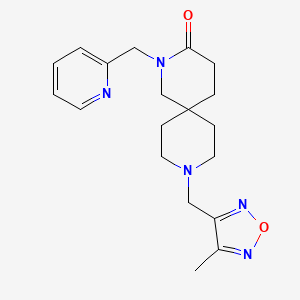 molecular formula C19H25N5O2 B5584819 9-[(4-methyl-1,2,5-oxadiazol-3-yl)methyl]-2-(pyridin-2-ylmethyl)-2,9-diazaspiro[5.5]undecan-3-one 