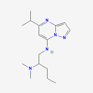 N~1~-(5-isopropylpyrazolo[1,5-a]pyrimidin-7-yl)-N~2~,N~2~-dimethylpentane-1,2-diamine