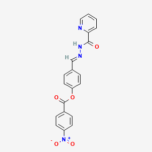 molecular formula C20H14N4O5 B5585815 4-[2-(2-pyridinylcarbonyl)carbonohydrazonoyl]phenyl 4-nitrobenzoate 