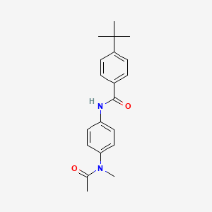 molecular formula C20H24N2O2 B5585865 N-{4-[acetyl(methyl)amino]phenyl}-4-tert-butylbenzamide 