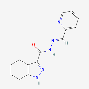 molecular formula C14H15N5O B5586286 N'-(2-pyridinylmethylene)-4,5,6,7-tetrahydro-1H-indazole-3-carbohydrazide 
