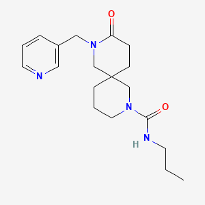 molecular formula C19H28N4O2 B5586639 9-oxo-N-propyl-8-(3-pyridinylmethyl)-2,8-diazaspiro[5.5]undecane-2-carboxamide 
