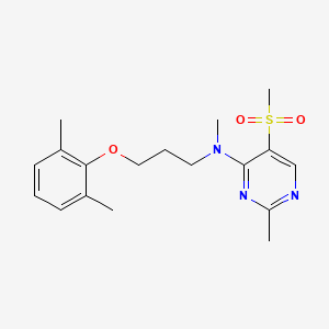 molecular formula C18H25N3O3S B5587067 N-[3-(2,6-dimethylphenoxy)propyl]-N,2-dimethyl-5-(methylsulfonyl)pyrimidin-4-amine 