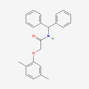 molecular formula C23H23NO2 B5587576 2-(2,5-dimethylphenoxy)-N-(diphenylmethyl)acetamide 