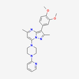 molecular formula C25H28N6O2 B5587847 3-(3,4-dimethoxyphenyl)-2,5-dimethyl-7-[4-(2-pyridinyl)-1-piperazinyl]pyrazolo[1,5-a]pyrimidine 