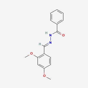 molecular formula C16H16N2O3 B5587950 N'-(2,4-二甲氧基亚苄基)苯甲酰腙 