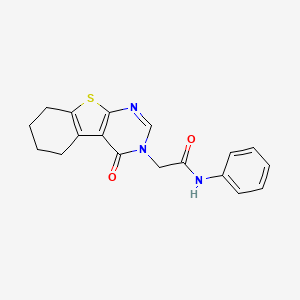 molecular formula C18H17N3O2S B5588158 2-(4-oxo-5,6,7,8-tetrahydro[1]benzothieno[2,3-d]pyrimidin-3(4H)-yl)-N-phenylacetamide 