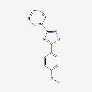 molecular formula C14H11N3O2 B5588923 3-[5-(4-methoxyphenyl)-1,2,4-oxadiazol-3-yl]pyridine 