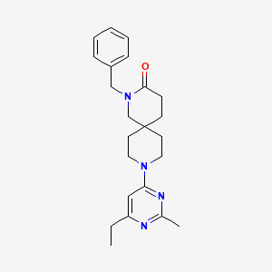 molecular formula C23H30N4O B5590492 2-benzyl-9-(6-ethyl-2-methylpyrimidin-4-yl)-2,9-diazaspiro[5.5]undecan-3-one 