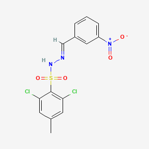 molecular formula C14H11Cl2N3O4S B5590591 2,6-dichloro-4-methyl-N'-(3-nitrobenzylidene)benzenesulfonohydrazide 