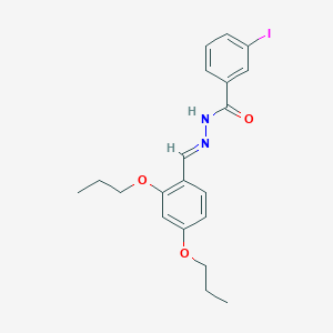 molecular formula C20H23IN2O3 B5590688 N'-(2,4-dipropoxybenzylidene)-3-iodobenzohydrazide 