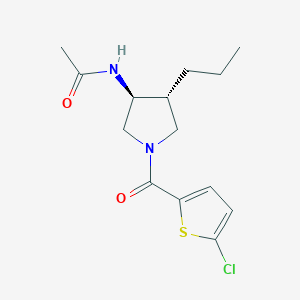 molecular formula C14H19ClN2O2S B5590929 N-{(3S*,4R*)-1-[(5-chloro-2-thienyl)carbonyl]-4-propyl-3-pyrrolidinyl}acetamide 