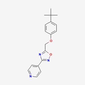 molecular formula C18H19N3O2 B5591395 4-{5-[(4-tert-butylphenoxy)methyl]-1,2,4-oxadiazol-3-yl}pyridine 