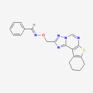molecular formula C19H17N5OS B5591904 benzaldehyde O-(8,9,10,11-tetrahydro[1]benzothieno[3,2-e][1,2,4]triazolo[1,5-c]pyrimidin-2-ylmethyl)oxime 