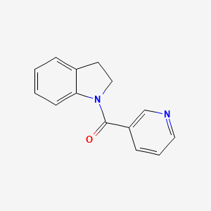 molecular formula C14H12N2O B5592441 1-(3-pyridinylcarbonyl)indoline 