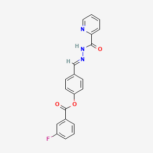 molecular formula C20H14FN3O3 B5593171 4-[2-(2-pyridinylcarbonyl)carbonohydrazonoyl]phenyl 3-fluorobenzoate 