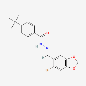 molecular formula C19H19BrN2O3 B5593229 N'-[(6-bromo-1,3-benzodioxol-5-yl)methylene]-4-tert-butylbenzohydrazide 