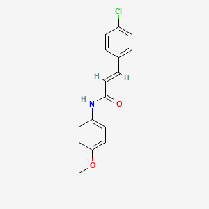 molecular formula C17H16ClNO2 B5593273 3-(4-chlorophenyl)-N-(4-ethoxyphenyl)acrylamide CAS No. 5365-92-4