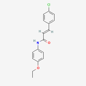 molecular formula C17H16ClNO2 B5593273 3-(4-氯苯基)-N-(4-乙氧苯基)丙烯酰胺 CAS No. 5365-92-4