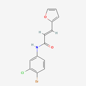 molecular formula C13H9BrClNO2 B5593424 N-(4-bromo-3-chlorophenyl)-3-(2-furyl)acrylamide 