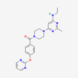 molecular formula C22H25N7O2 B5593980 N-ethyl-2-methyl-6-{4-[4-(2-pyrimidinyloxy)benzoyl]-1-piperazinyl}-4-pyrimidinamine 