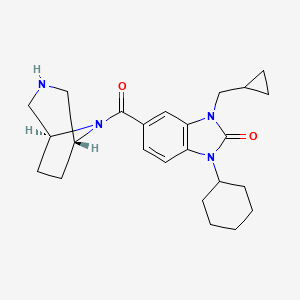 molecular formula C24H32N4O2 B5594138 1-cyclohexyl-3-(cyclopropylmethyl)-5-[rel-(1R,5S)-3,8-diazabicyclo[3.2.1]oct-8-ylcarbonyl]-1,3-dihydro-2H-benzimidazol-2-one hydrochloride 