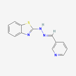 molecular formula C13H10N4S B5594598 烟酰醛 1,3-苯并噻唑-2-基腙 CAS No. 63190-61-4