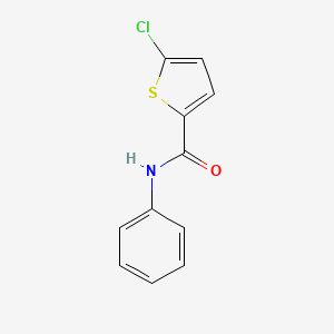 molecular formula C11H8ClNOS B5595550 5-chloro-N-phenyl-2-thiophenecarboxamide 