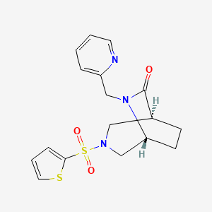 molecular formula C17H19N3O3S2 B5596144 (1S*,5R*)-6-(pyridin-2-ylmethyl)-3-(2-thienylsulfonyl)-3,6-diazabicyclo[3.2.2]nonan-7-one 