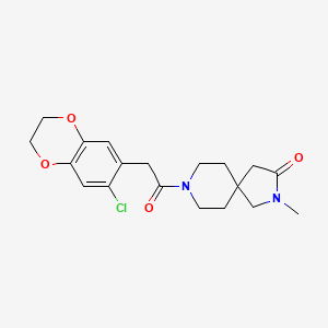 molecular formula C19H23ClN2O4 B5596688 8-[(7-chloro-2,3-dihydro-1,4-benzodioxin-6-yl)acetyl]-2-methyl-2,8-diazaspiro[4.5]decan-3-one 