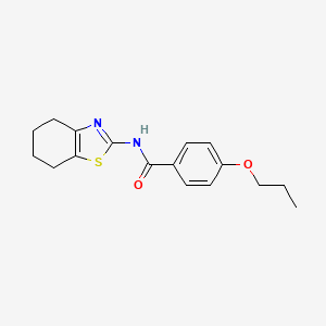 molecular formula C17H20N2O2S B5596702 4-propoxy-N-(4,5,6,7-tetrahydro-1,3-benzothiazol-2-yl)benzamide 