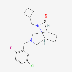 molecular formula C19H24ClFN2O B5597027 (1S*,5R*)-3-(5-chloro-2-fluorobenzyl)-6-(cyclobutylmethyl)-3,6-diazabicyclo[3.2.2]nonan-7-one 