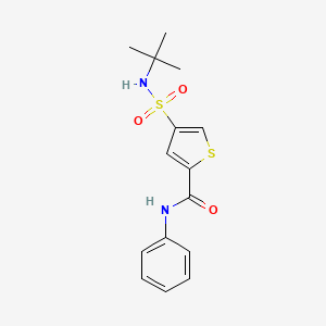 4-[(tert-butylamino)sulfonyl]-N-phenylthiophene-2-carboxamide