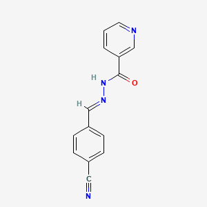 molecular formula C14H10N4O B5597149 N'-(4-cyanobenzylidene)nicotinohydrazide 