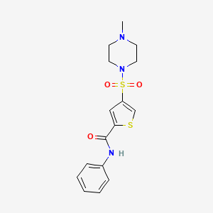 molecular formula C16H19N3O3S2 B5599231 4-[(4-methylpiperazin-1-yl)sulfonyl]-N-phenylthiophene-2-carboxamide 