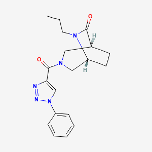 molecular formula C19H23N5O2 B5599974 (1S,5R)-3-(1-phenyltriazole-4-carbonyl)-6-propyl-3,6-diazabicyclo[3.2.2]nonan-7-one 