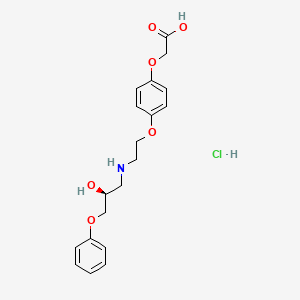molecular formula C19H24ClNO6 B560213 盐酸(S)-4-[2-羟基-3-苯氧基丙氨基乙氧基]苯氧基乙酸 CAS No. 140850-02-8